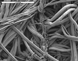 Figure 2: Fibers split and entangled along the path of a single water jet.