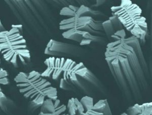 Figure 5: Cross section of a nonwoven fabric made using winged fibers. 