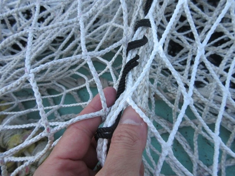 Teijin And Kinoshita Fishing Net Develop World's First Fishing Net Made  With UHMWPE Film