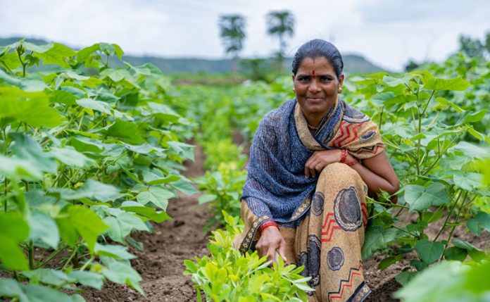 Multi-Stakeholder Project To Boost Transparency And Farmer Livelihoods ...