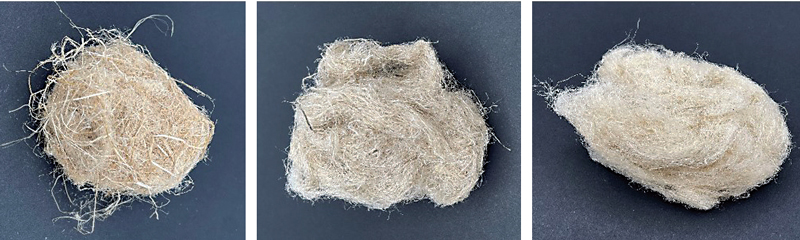 Hemp Textile - Yesterday's Fiber at service of today's Ecology