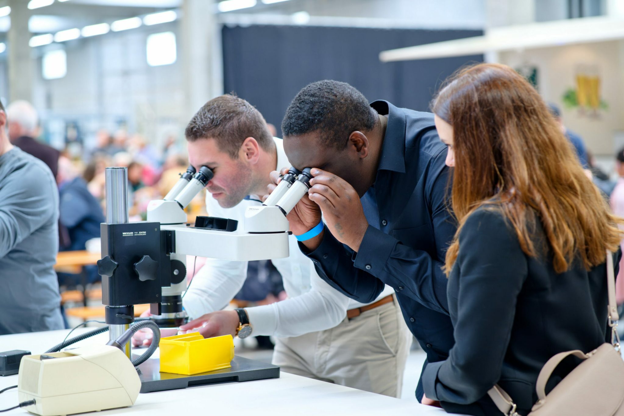 Trützschler Card Clothing (TCC) A 20Year Success Story Textile World