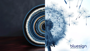 Novonesis Becomes A Bluesign System Partner, Reinforcing Sustainable Innovation In Textiles And Leather