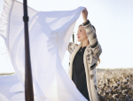 Red Land Cotton: From Seed To Sheet