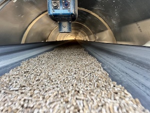 MoistTech - finished pellet belt 112 _2_